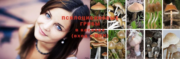 MDMA Гусев
