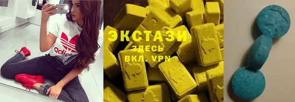 гашик Гусь-Хрустальный