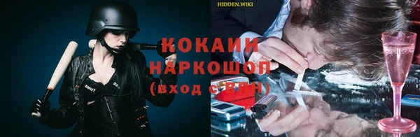 гашик Гусь-Хрустальный