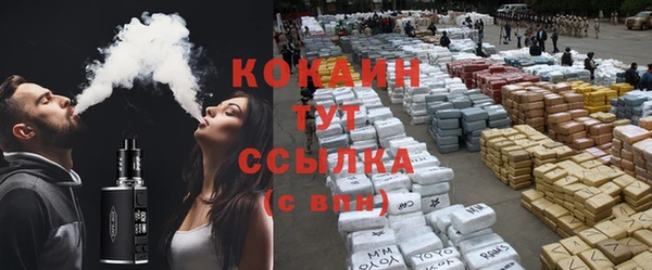 гашик Гусь-Хрустальный