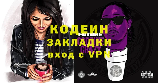 гашик Гусь-Хрустальный