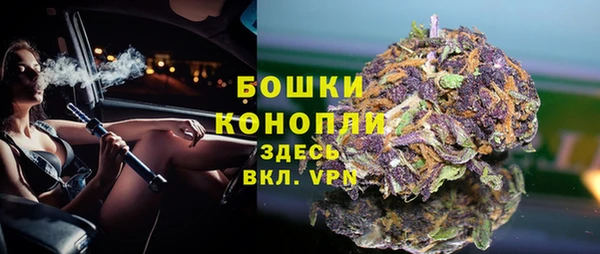 гашик Гусь-Хрустальный
