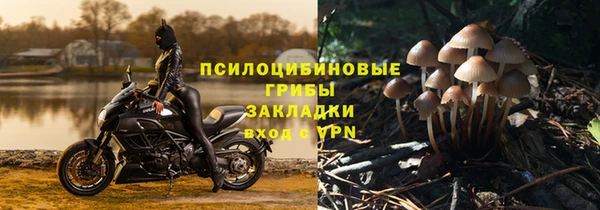 гашик Гусь-Хрустальный