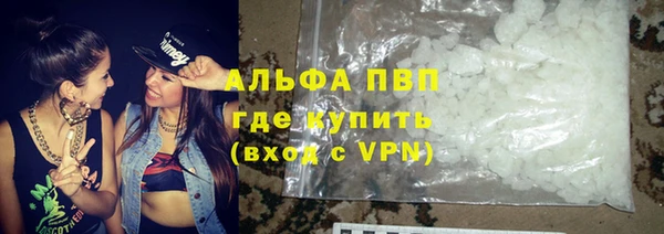 гашик Гусь-Хрустальный