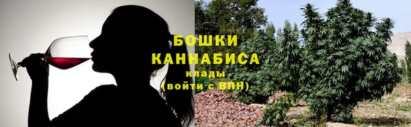 гашик Гусь-Хрустальный
