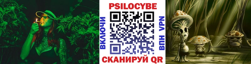 Псилоцибиновые грибы Psilocybe  Купить  Нытва 